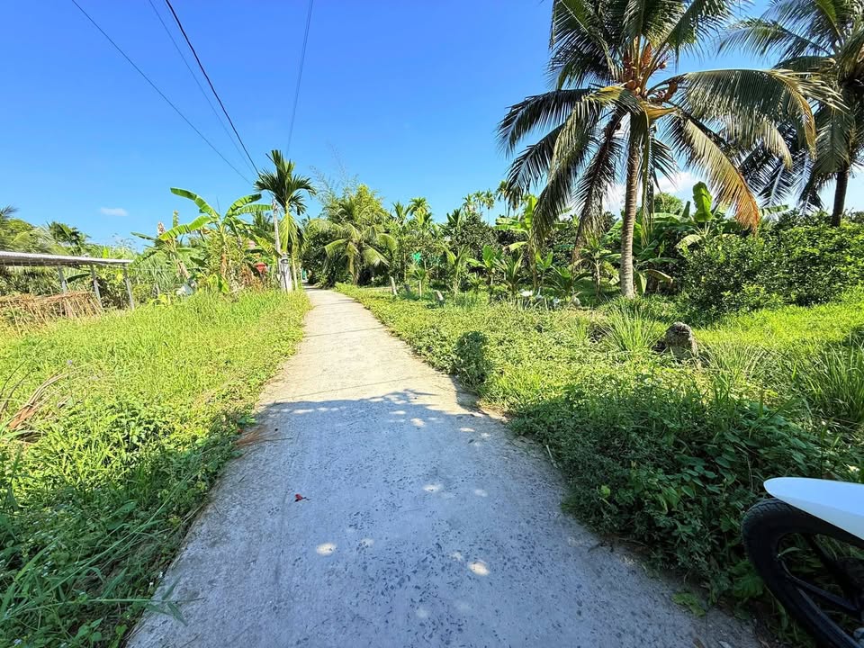 Đất nền Đông Thành 87m² - Giá tốt hiếm có!