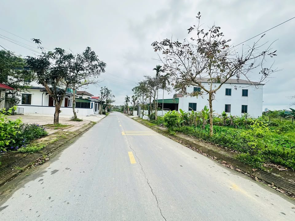 Đất Nền Kinh Doanh Thạch Đài, Hà Tĩnh - 200m², Mặt Tiền 12m, Giá 5 Tỷ