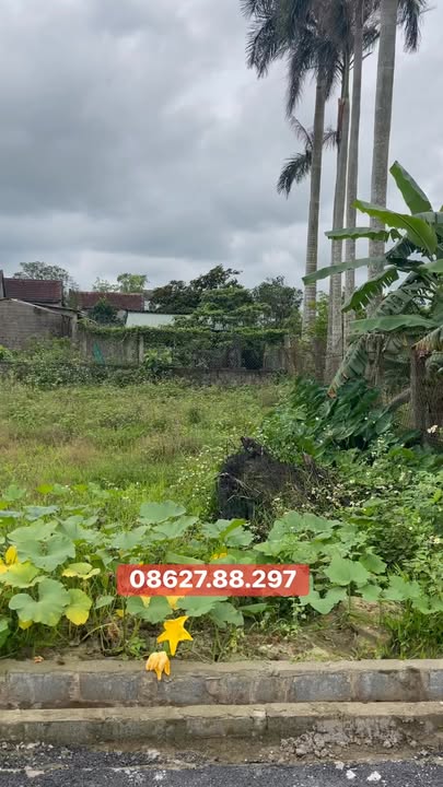 Đất nền Cẩm Xuyên, Hà Tĩnh 154.6m² - Sổ đỏ chính chủ, giá đầu tư 4xx triệu