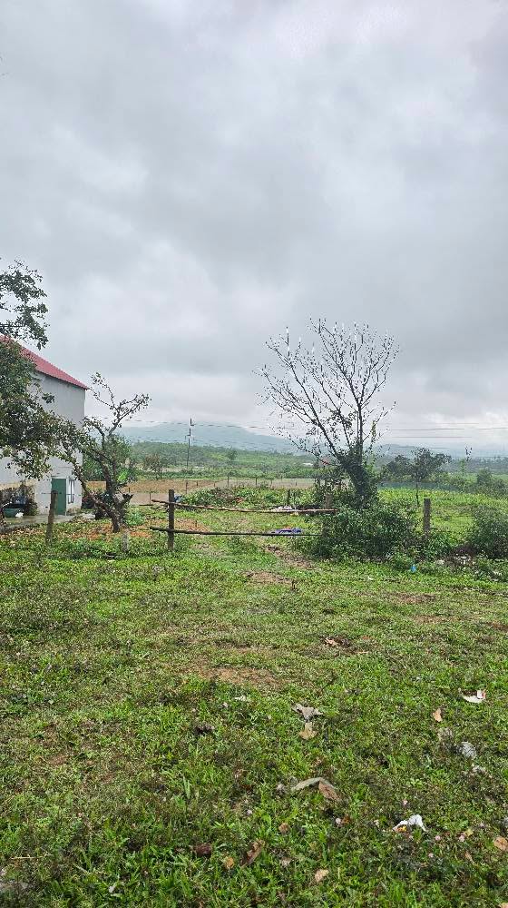 Đất Xưởng Kho 330m² Mặt Tiền 1A, Kỳ Xuân, Hà Tĩnh - Giá Tốt Đầu Tư