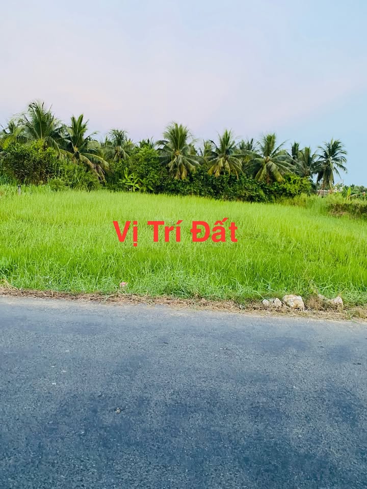 Đất nền Gò Công Tây 150m² - Sổ đỏ sẵn, xây dựng tự do!