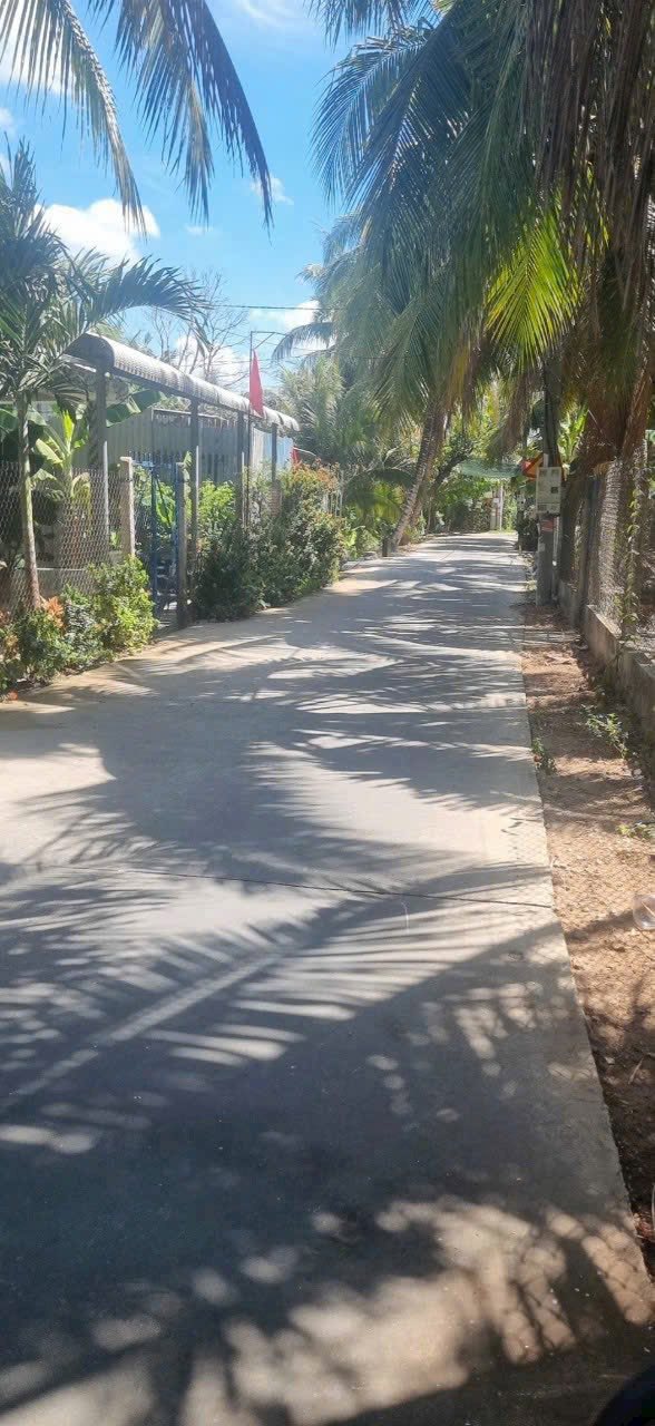 Đất vườn Châu Thành Tiền Giang 3.854m² 4,8 tỷ - Đầu tư dài hạn