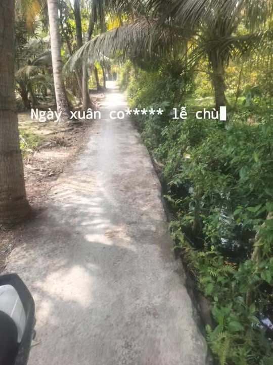 Đất nền Song Thuận 500m² giá 500 triệu - Tiềm năng tăng giá!