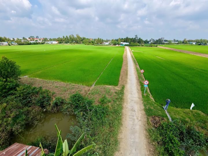 Đất nền Long Bình, Gò Công Tây 9190m² - Sổ đỏ chính chủ, tiềm năng sinh lời!