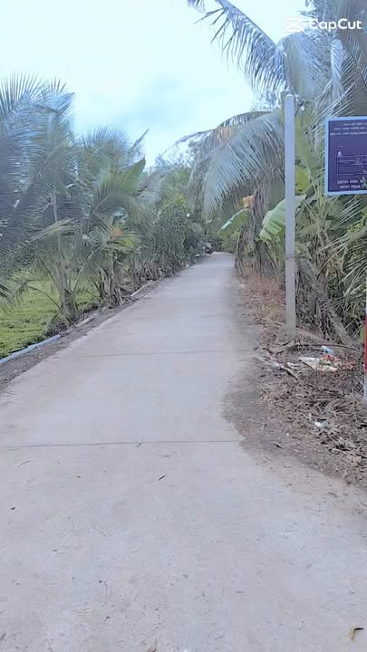 Đất Vườn Tam Hiệp, Châu Thành 2300m² - Sổ đỏ chính chủ, ô tô vào tận nơi!