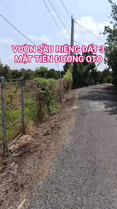 Đất Vườn Sầu Riêng 2798m² - 3 Mặt Tiền Đường Ô Tô Tại Cai Lậy, Tiền Giang