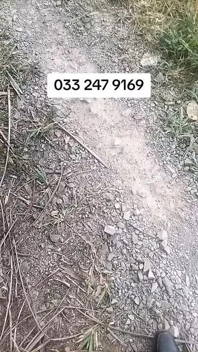 Đất Nền Bình Trưng 2870m² - Giá Rẻ Đầu Tư Tiền Giang