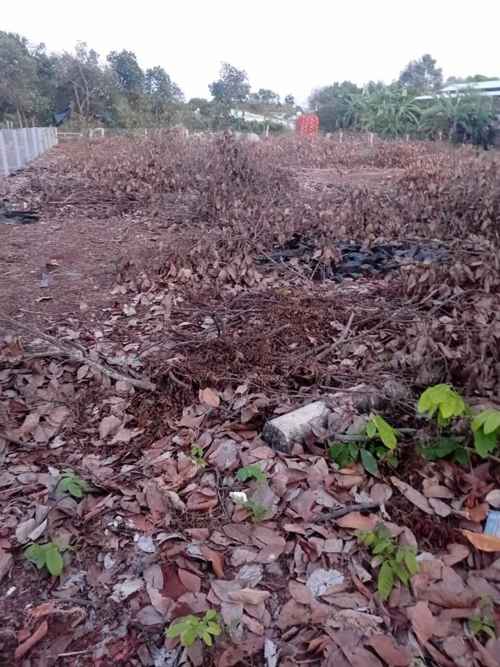 Đất nền 200m² Nghĩa Thành, Châu Đức - Tiềm năng tăng giá!