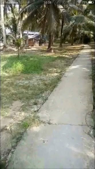 Đất nền Xã Minh Đức 480m² giá 300 triệu - Giá đầu tư tốt!