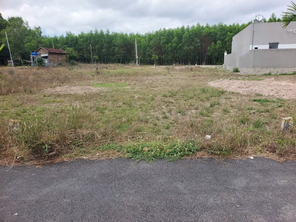 Đất Nền Mặt Tiền Nhựa 149m² Gần Hồ Bút Thuyền, Phước Hải - Giá 1.25 Tỷ