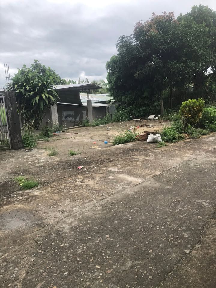 Đất Vườn Tam Vĩnh Tặng Nhà Cấp 4 - 450m² Giá Chỉ 5xx Triệu