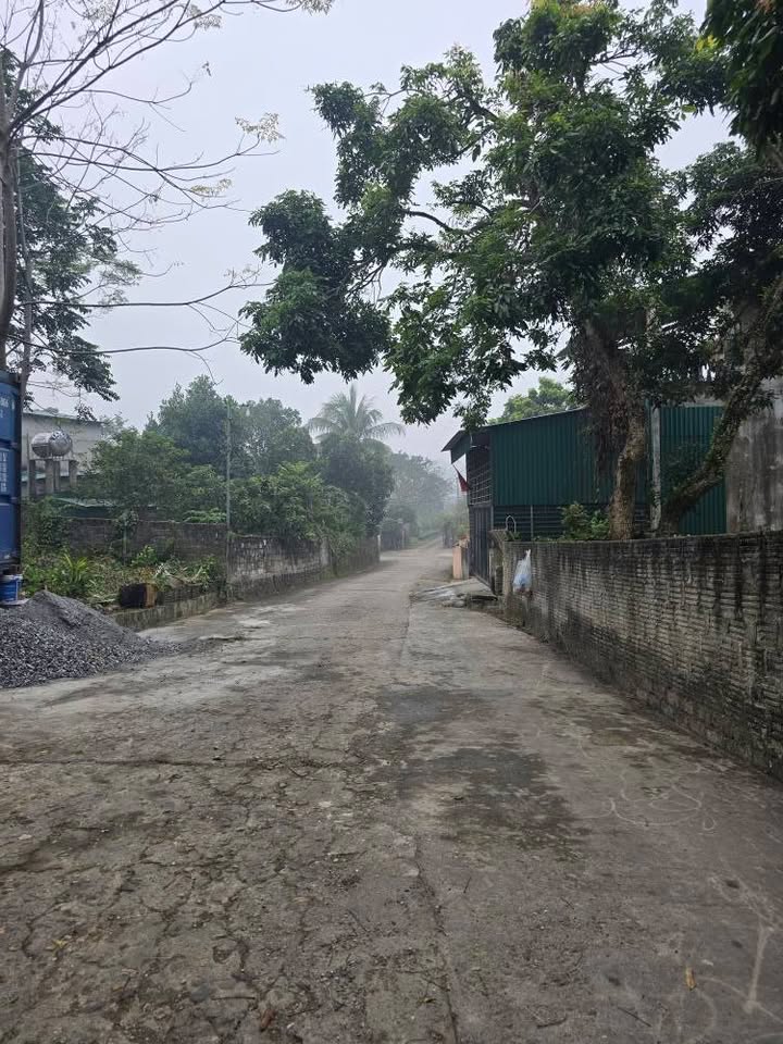 Đất nền Nông Tiến, Tuyên Quang 360m² - Đường to ô tô tránh!