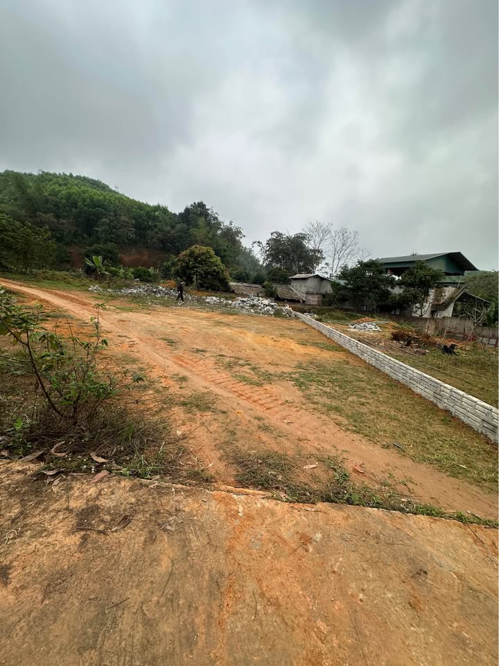 Đất nền An Tường, Hà Giang 230m² giá 1 tỷ - Đường to ô tô