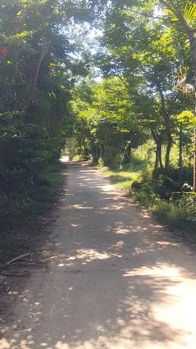 Đất nền Tiên Châu, Tiên Phước 1720m² - Tiềm năng tăng giá vượt trội!