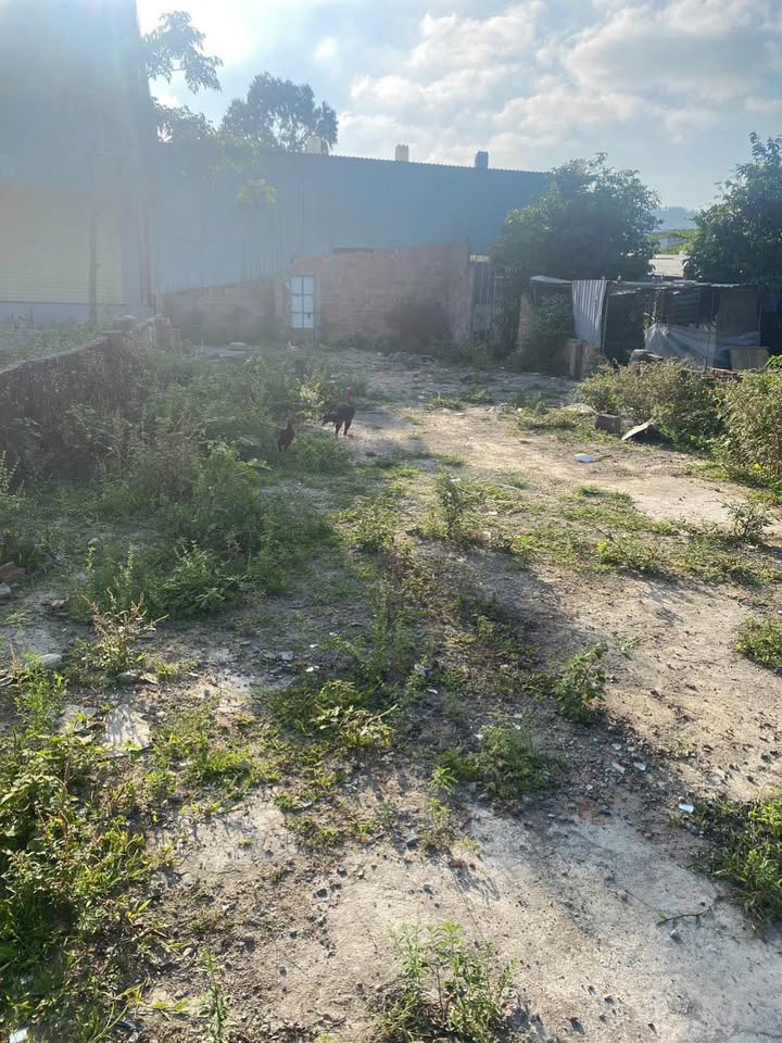 Đất nền Trần Đình Tri, Liên Chiểu 70m² - Đường to ô tô!