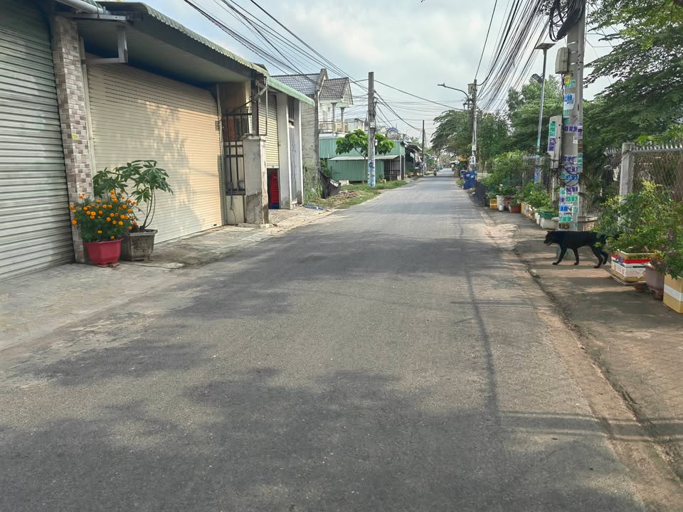 Bán đất nền 80m² Phường Hòa Lợi, Bến Cát - Sát Chợ Nhật Huy, Giá 800 triệu