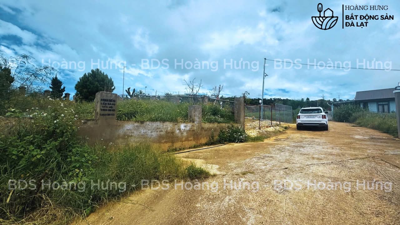 Đất Biệt Lập Đà Lạt 274m² Sổ Riêng, 2 Mặt Tiền Ô Tô - Giá 4.9 Tỷ
