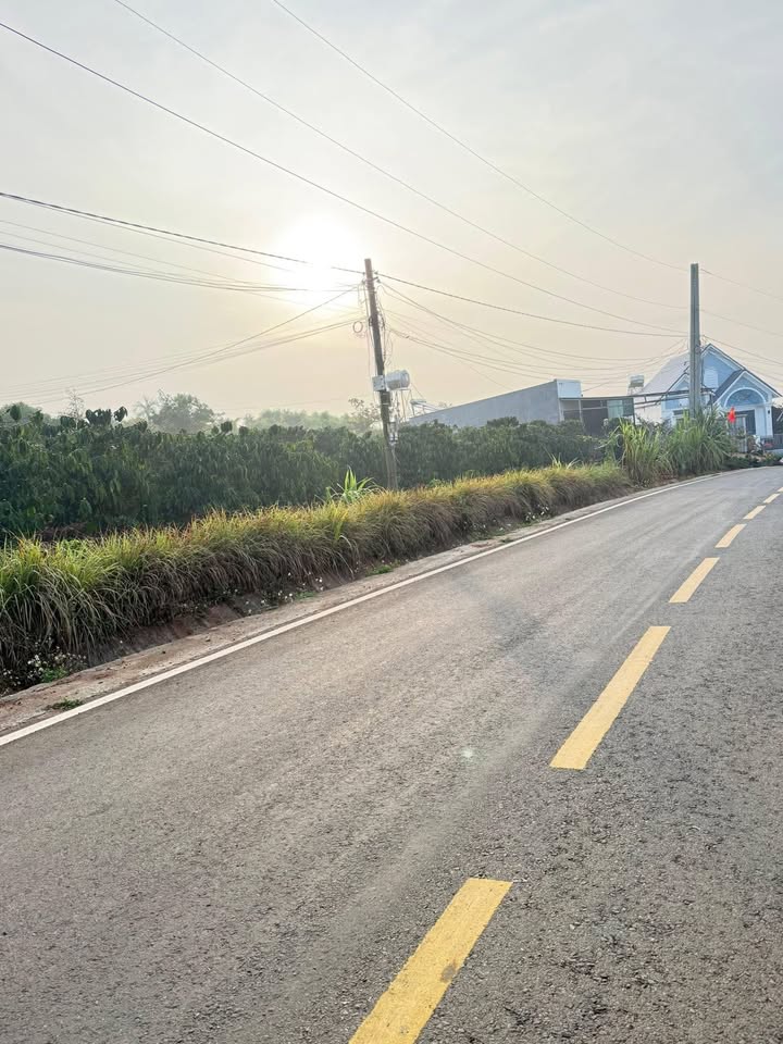 Đất Vàng Đà Lạt - 800m² Mặt Tiền Đường Nhựa Tân Thành, Giá 80 Tỷ
