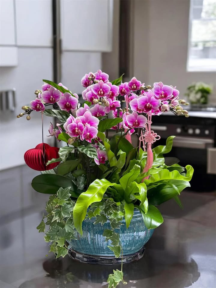 Đất nền Xã Tân Thanh 3850m² nở hậu 11m - Tiềm năng tăng giá!