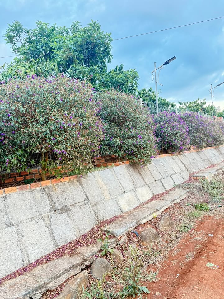 Đất nền Xã Tân Hà, Lâm Hà 3600m² - Sổ đỏ chính chủ, tiềm năng tăng giá!