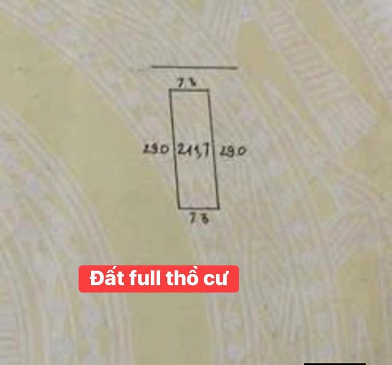 Đất Lạng Giang 211m² Full Thổ Cư - Làn 2 TL295, Giá Đầu Tư