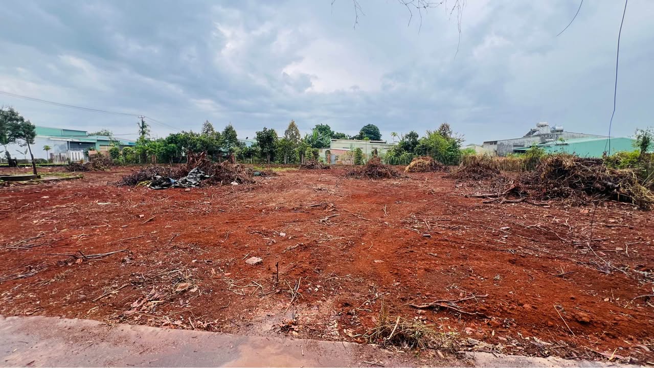 Đất Nền Sổ Đỏ 96m² Hẻm 43 Nguyễn Tuân, Pleiku - Giá 820 Triệu