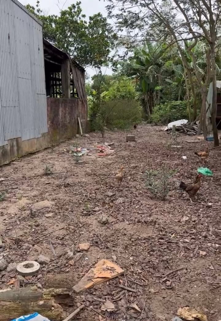 Đất nền Hòa Vang 150m² 1.8 tỷ - Tiềm năng tăng giá vượt trội!