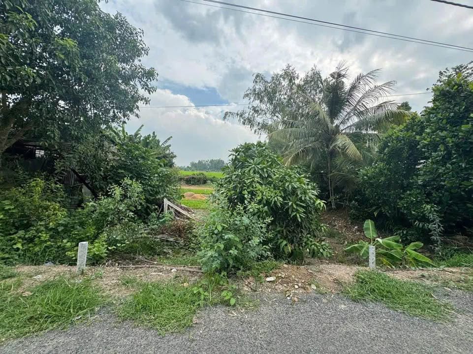 Bán Nền 100m² Đường Nhựa Mỹ Tân, Cao Lãnh - Giá 500 Triệu, Tiềm Năng Lên Thổ Cư