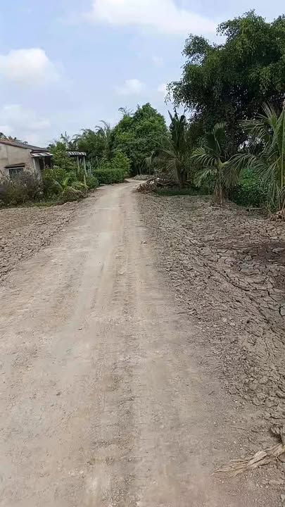 Đất nền 144m² Xã Tân Phước, Lai Vung - Sổ đỏ chính chủ, ô tô tới đất!