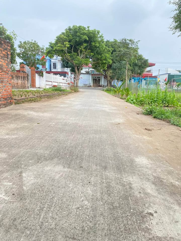 Bán Đất Thổ Cư 150m² Thôn 1, Thái Thụy - Sẵn Sàng Xây Biệt Thự