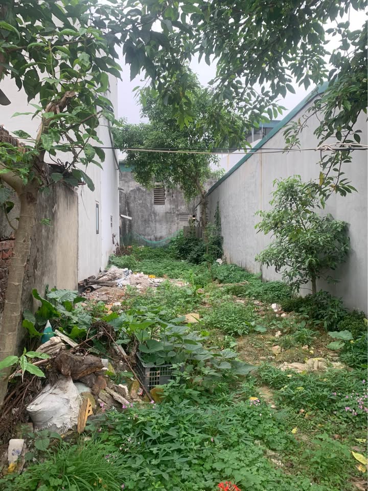 Đất nền Phú Xuân, Thái Bình 84m² - Sổ đỏ chính chủ, giá tốt!