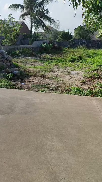 Đất nền 250m² Xã Nga An, Nga Sơn - Sổ đỏ chính chủ, tiềm năng tăng giá!