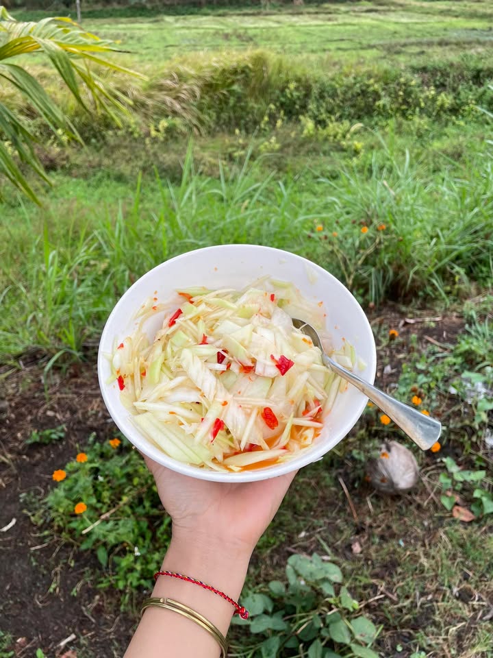 Đất nền Đông Hòa Phú Yên 100m² giá 650 triệu - Sổ đỏ chính chủ!