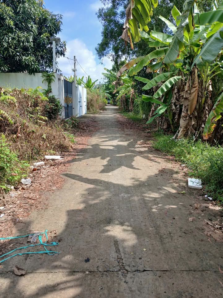 Bán Đất Đường Đan Ninh Kiều 113m² Hướng Đông Nam - Sổ Đỏ Thổ Cư 96m²