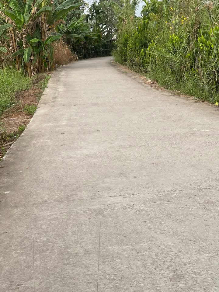 Đất nền Phước Thới Cần Thơ 225m² - Sổ đỏ chính chủ, ô tô tận nơi!