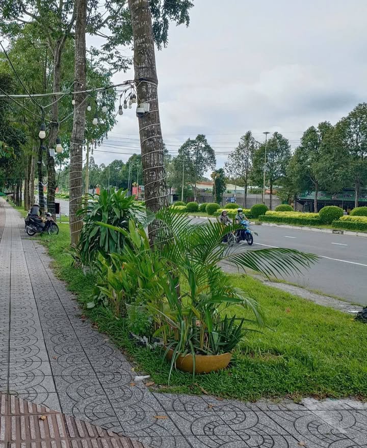 Nhà Mặt Tiền Võ Văn Kiệt Cần Thơ 48m² - Mặt Tiền Kinh Doanh Hiệu Quả!