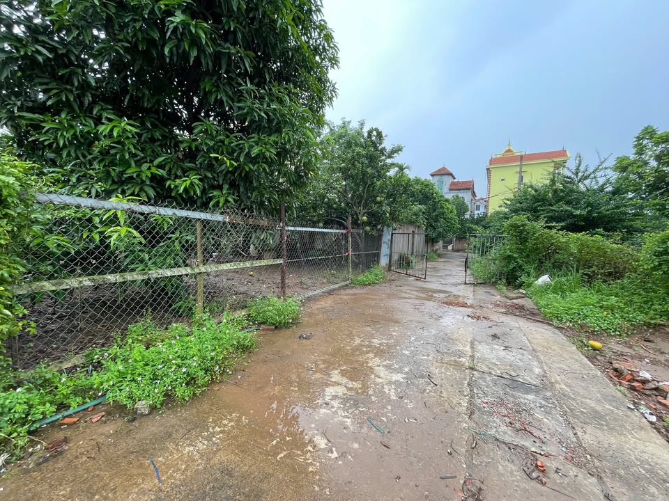 Bán đất thổ cư 80m² Tráng Việt, Mê Linh - Đường ô tô, giá 480 triệu