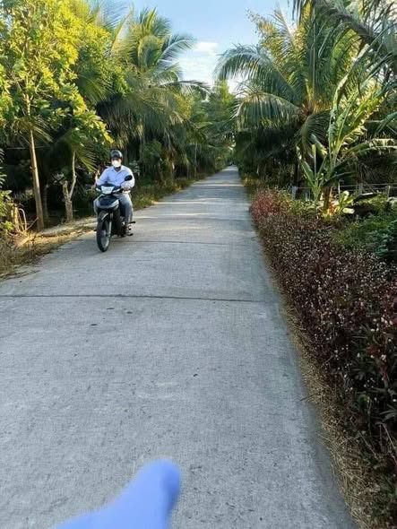 Đất nền Tân Phong Bến Tre 1040m² giá 845 triệu - Sổ đỏ chính chủ!