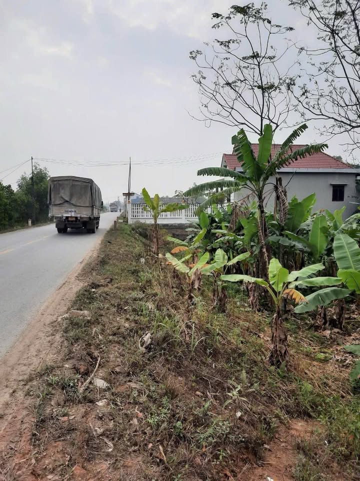 Đất nền Hạ Hòa, Phú Thọ - 100m² thổ cư, giá chỉ 5xx triệu