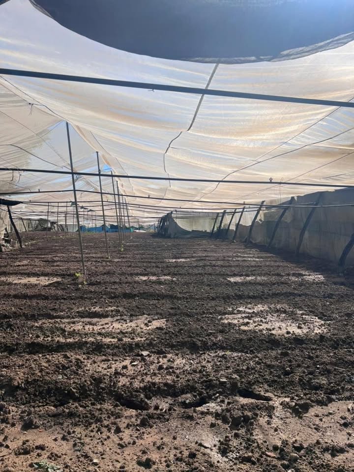 Đất nền Đinh Tiên Hoàng 100m² - Sổ đỏ chính chủ, tiềm năng tăng giá!