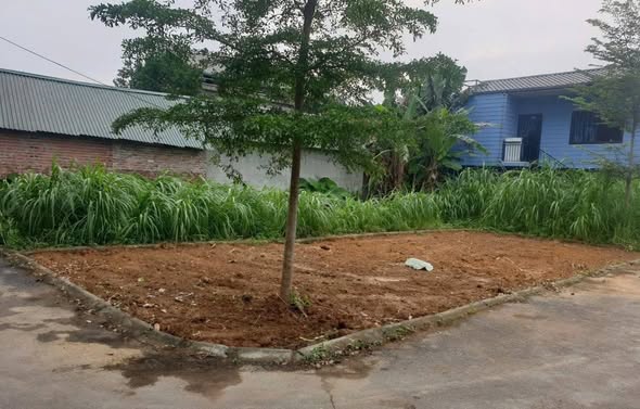 Đất nền Thôn 7 Tân Xã 85m² - Tiềm năng tăng giá vượt trội!