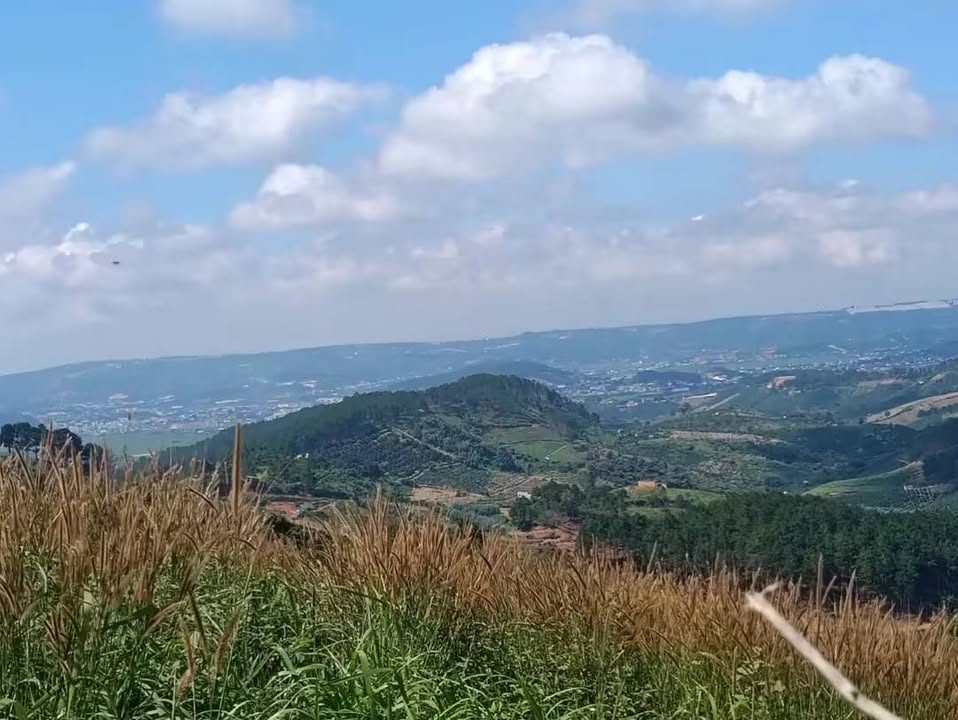 Đất nền Nam Hà, Đà Lạt 6500m² - Sổ đỏ chính chủ, tiềm năng đầu tư!