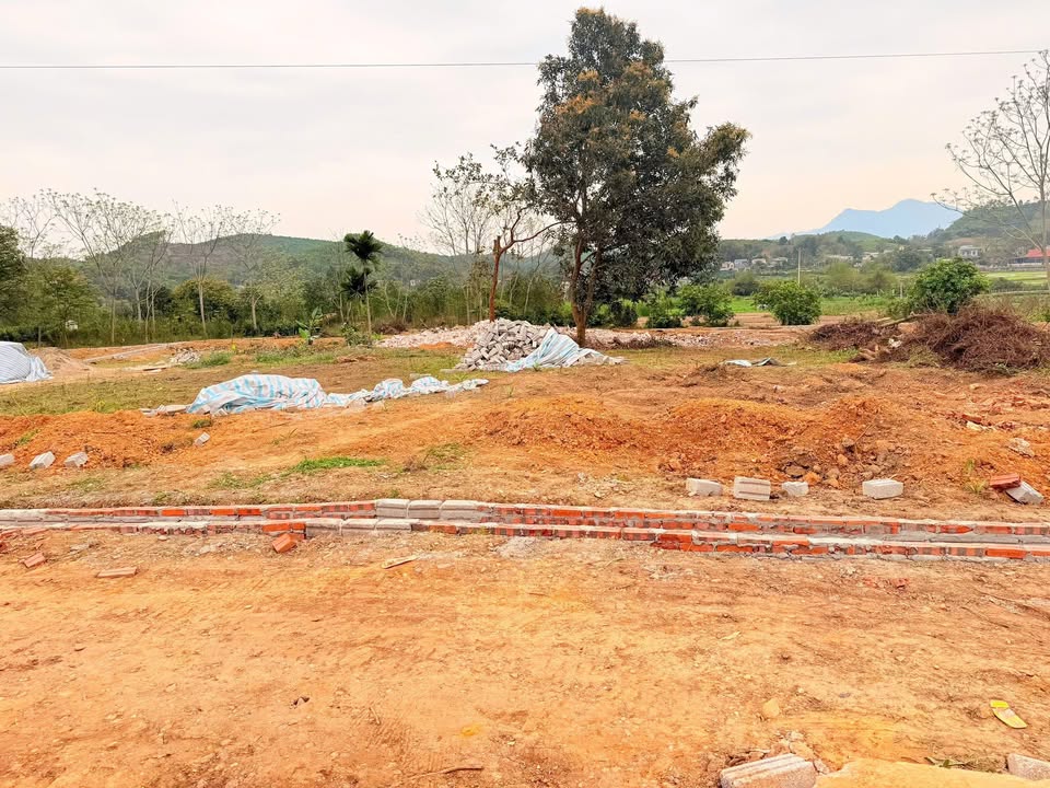 Đất nền 115m² Trung Môn 2, Yên Sơn – Sổ đỏ chính chủ, bán gấp!