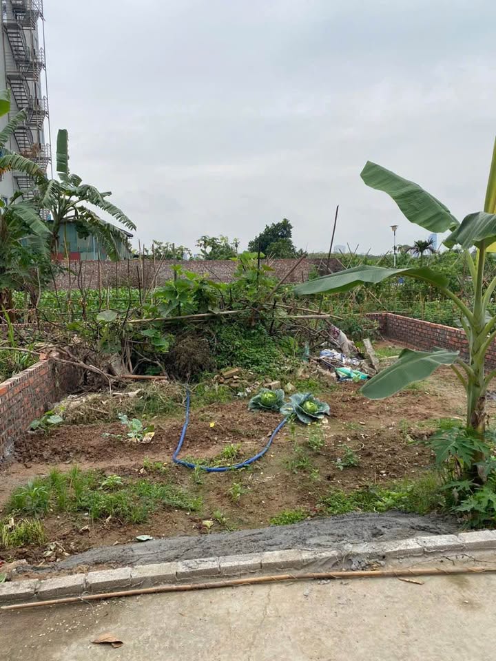 Đất nền Phường Vân Dương, TP Bắc Ninh 56m² - Đường to ô tô