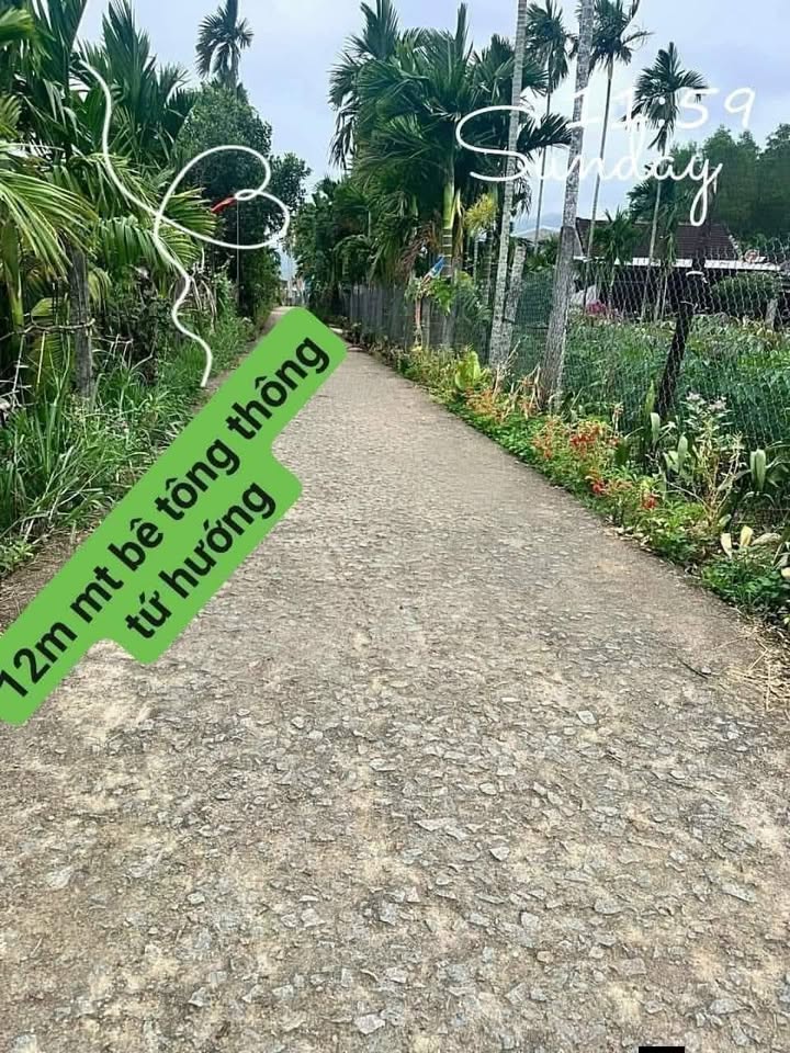 Đất nền Xã Phổ Hòa, TX Đức Phổ 186m² - Sổ đỏ chính chủ, thổ cư 100%