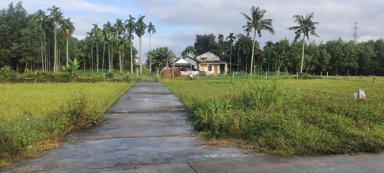 Bán Đất Vườn Nghĩa Thuận 2000m² - Sổ Đỏ Thổ Cư, Giá Đầu Tư 1.65 Tỷ