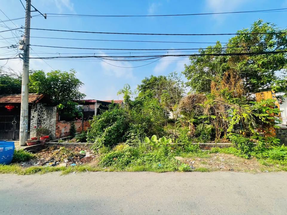 Đất Nền Củ Chi 408m² Trần Tử Bình - Xây Dựng Tự Do, Sổ Hồng Sẵn