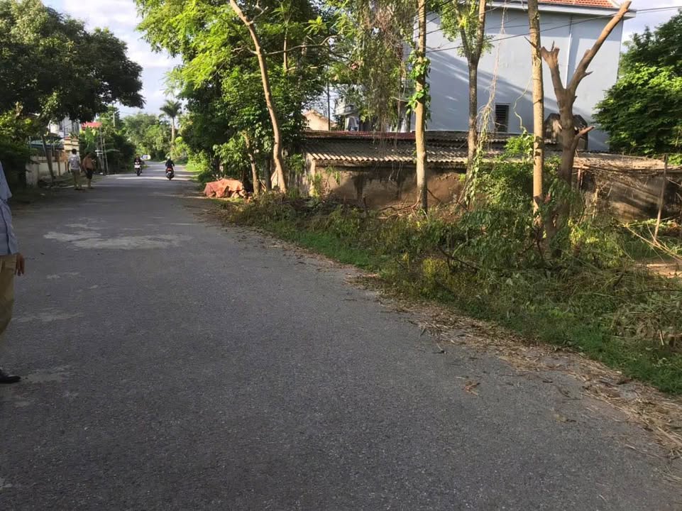 Đất nền Xã Bắc Sơn, Tam Nông 392m² - Tiềm năng tăng giá vượt trội!