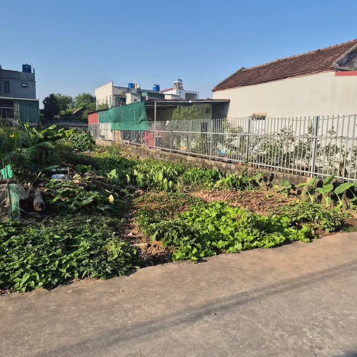 Đất nền 170m² full thổ cư Khánh Nhạc, Yên Khánh - Giá nhỉnh 1 tỷ