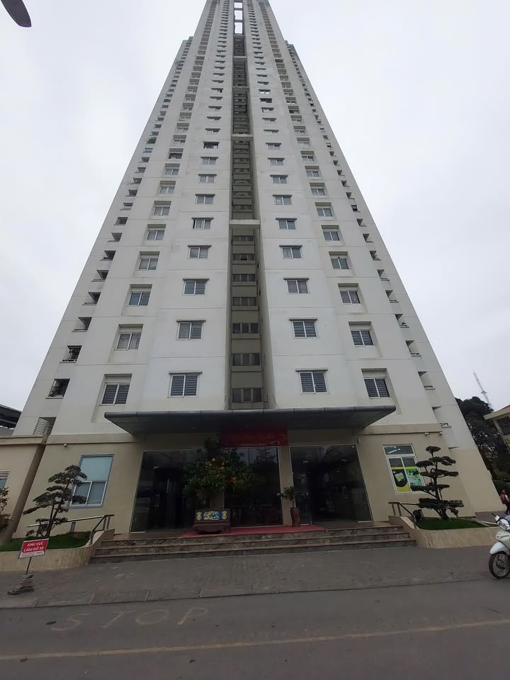 Sàn Thương Mại Quang Trung 600m² - Mặt Tiền Kinh Doanh Vàng!